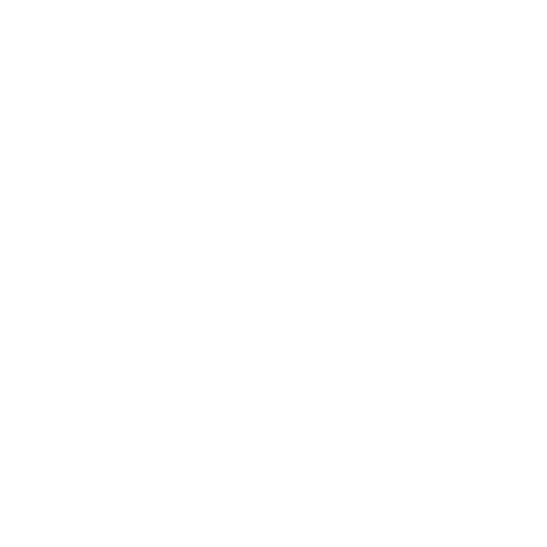 Sea Moss and Tings: Fresh Grenada Sea Moss